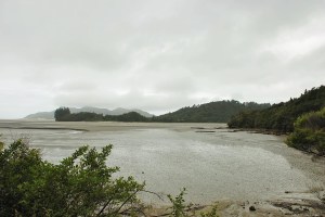 DSC_2879