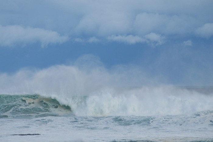 DSC_3625 (2)