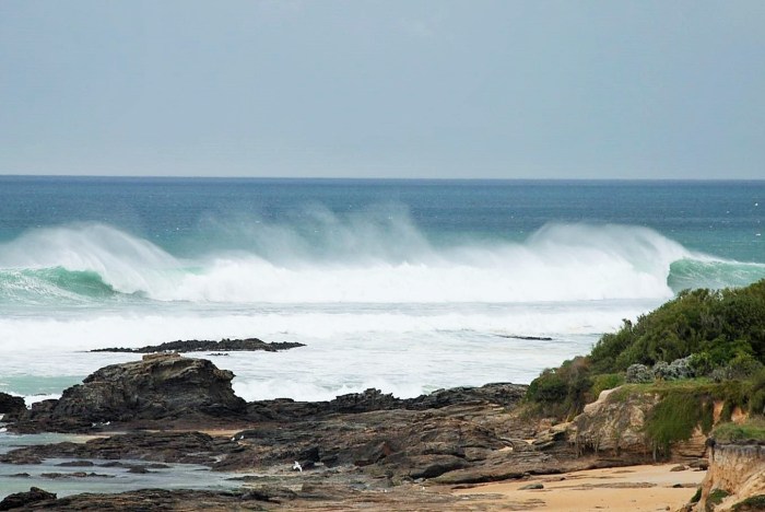 DSC_3646 (2)