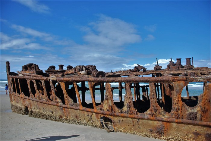 DSC_0150 (1)