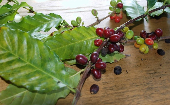 DSC_0376